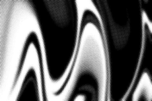 a black and white photo of a zebra with a pattern of dots