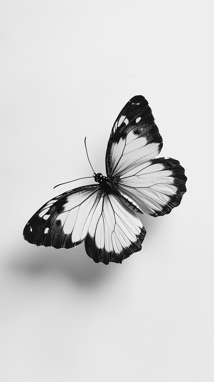 a butterfly with a white background that says quot butterfly quot