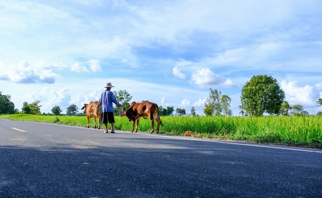 a cavallo su una strada