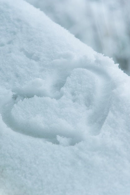 A forma di cuore nella neve