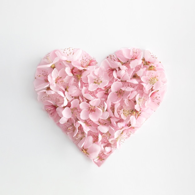 A forma di cuore realizzata con fiori primaverili rosa naturali Love minimal concept Biglietto di San Valentino Piatto lay