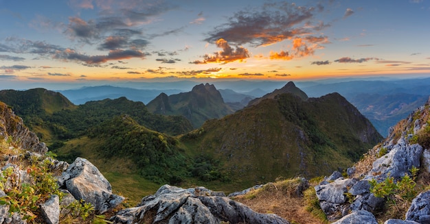 Abbellisca a Doi Luang Chiang Dao, alta montagna nella provincia di Chiang Mai, Tailandia