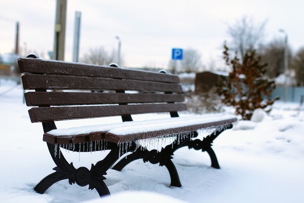 Abbellisca il Central Park urbano il primo giorno nevoso dell'inverno