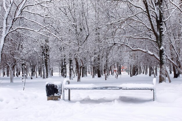 Abbellisca il Central Park urbano il primo giorno nevoso dell'inverno