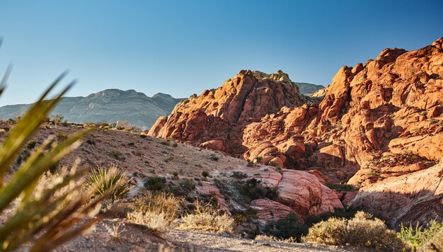 Abbellisca la foto del parco nazionale rosso del canyon della roccia nel Nevada