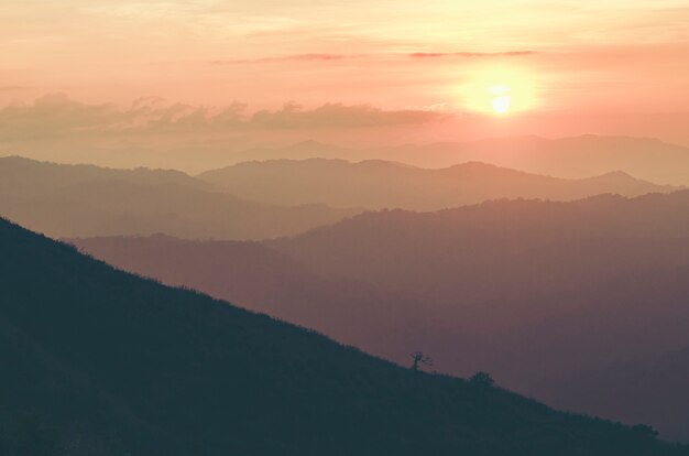 Abbellisca la vista degli strati della montagna della foresta tropicale, fondo del tramonto della natura