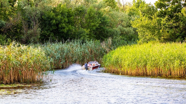 Abbellisca una barca a motore naviga su un fiume di canne