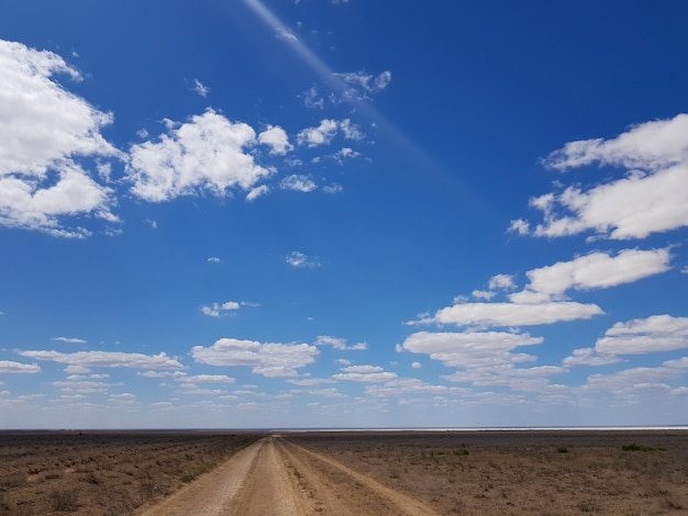 Abbellisci una strada nella steppa che si estende in lontananza e un cielo azzurro con nuvole. Foto di alta qualità