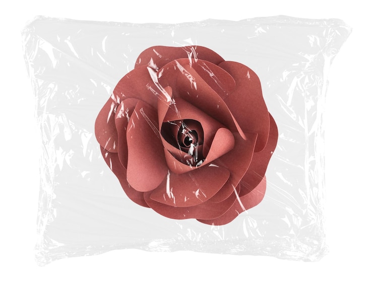 Foto abbonamento a sacchetto di plastica a fiore di rosa png di carta arte concettuale primaverile su sfondo trasparente