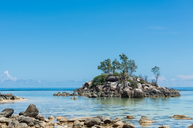 Abbondanza di rocce e alberi sulla spiaggia delle Seychelles