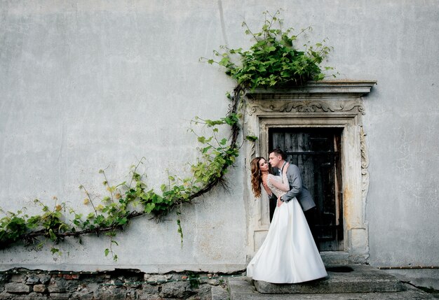 Abbracci delle coppie di nozze prima di una parete con pianta
