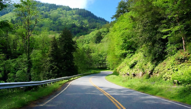 Abbraccia la bellezza della natura Viaggio panoramico attraverso il verde