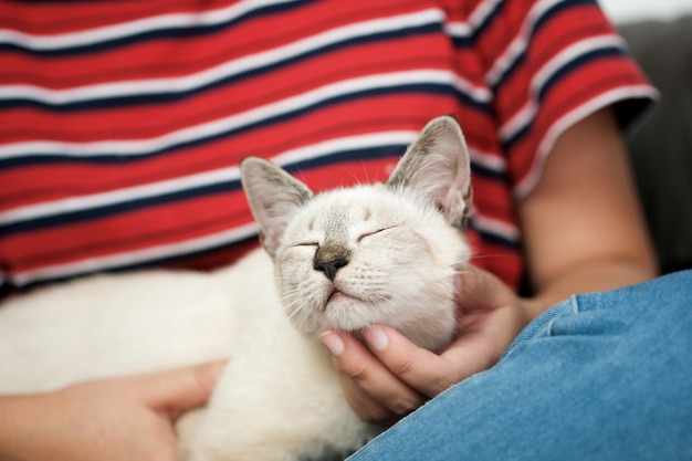 Abbraccio donna Gatto carino. Amicizia Amante degli animali. fidati amore Amico dell&#39;uomo.