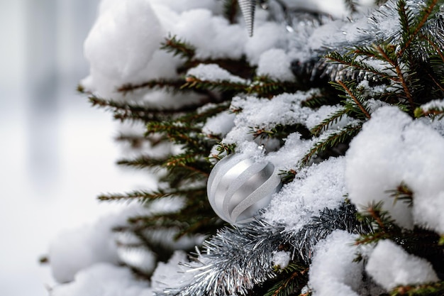 Abete coperto di neve Palla di Natale sul primo piano all'aperto del ramo di abete rosso