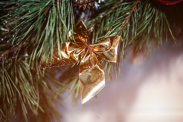 Abete di Natale, arco per la progettazione di una cartolina di Capodanno.