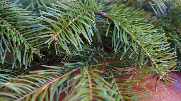 Abete di Natale sul bordo di legno