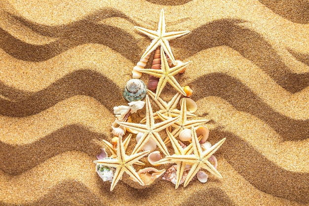 Abete fatto di stelle marine su sfondo sabbia