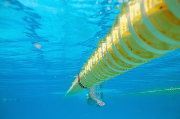 Abete giocattolo una sfera di plastica con il sorteggio