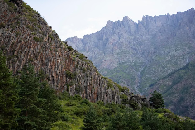 Abete rosso verde sullo sfondo delle montagne rocciose della Georgia