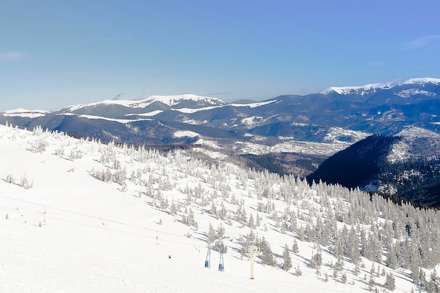 Abeti di pino abeti ricoperti di neve ghiacciata nelle montagne della foresta in una soleggiata giornata fredda e gelida Inverno bellissimo panorama della natura panoramica sulla stazione sciistica Paesaggio dei Carpazi ucraini