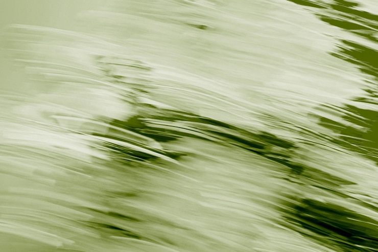 Foto abstract background design hd colore verde estivo