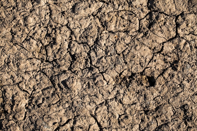 Abstract Grunge incrinato sporco suolo asciutto foto