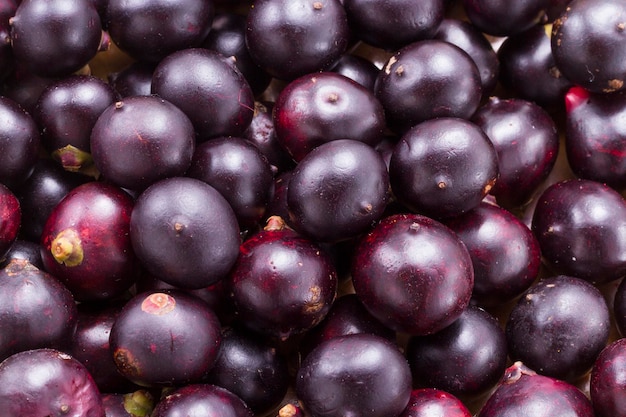 Acai frutto di origine amazzonica cui sono attribuite molte proprietà medicinali