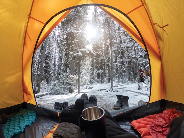 Accampandosi con la mano che tiene tazza in tenda gialla con neve in abetaia