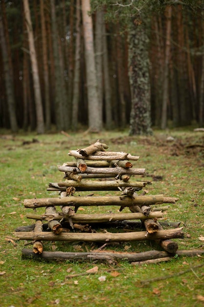 Accendi il fuoco in un campo con bastoncini di legno in natura. accendere un fuoco