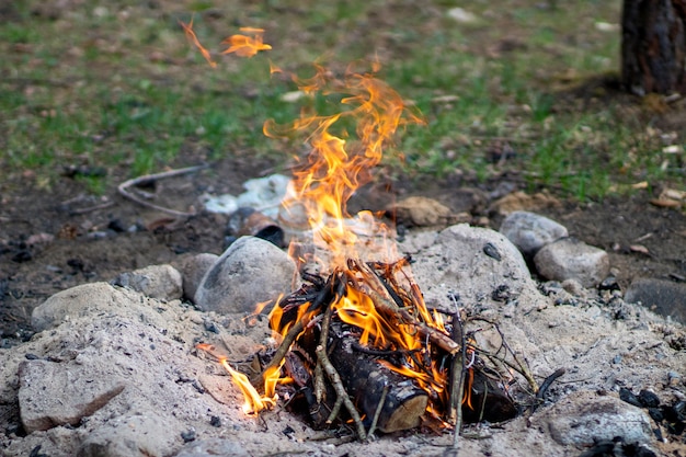 Accendi un fuoco nella foresta mentre riposi