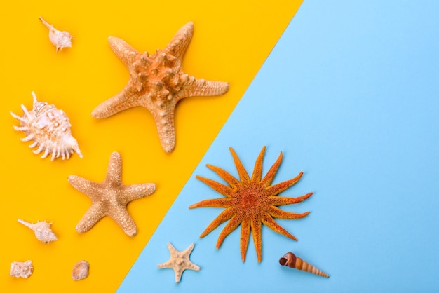 Accessori da spiaggia: occhiali e cappello con conchiglie e stelle marine.