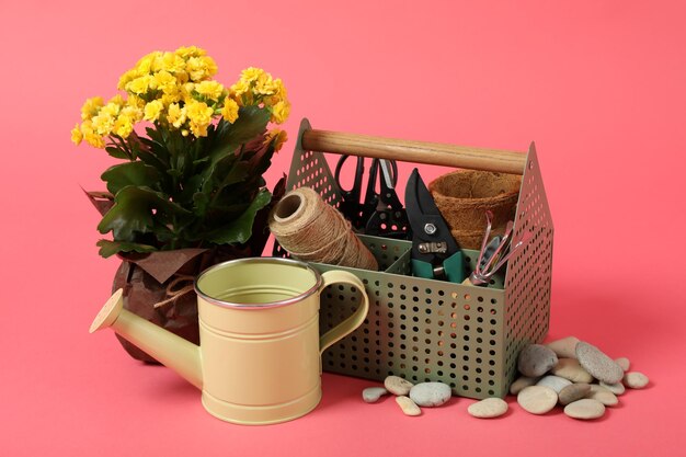 Accessori e strumenti per il giardinaggio su sfondo rosa