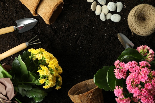 Accessori e strumenti per il giardinaggio sul fondo del suolo