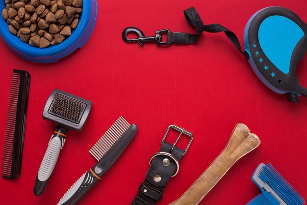 Accessori per animali domestici su sfondo rosso. Vista dall'alto. Natura morta. Copia spazio