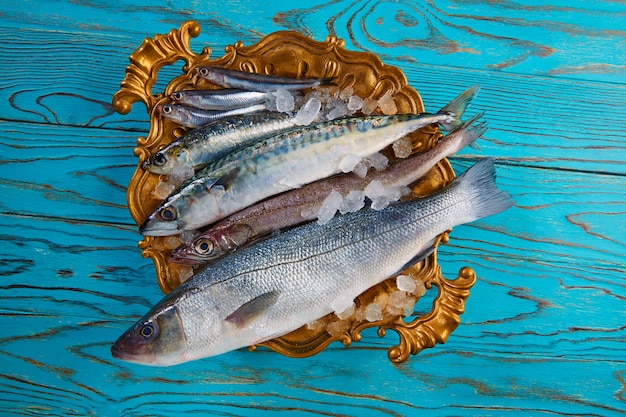 Acciughe di sgombro di sardine alla spigola di nasello di pesce fresco