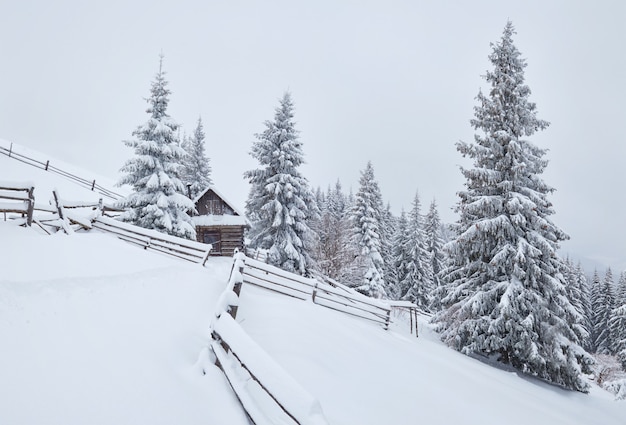 Accogliente capanna di legno in alto tra le montagne innevate.