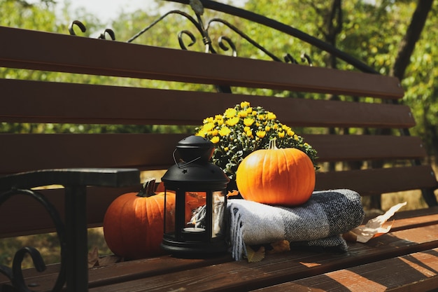 Accogliente concetto di autunno all'aperto nel parco