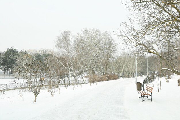 Accogliente parco con neve in un fantastico clima invernale