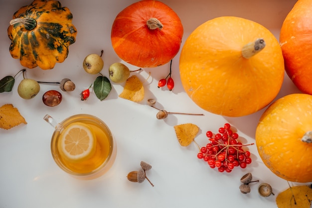 Accogliente piatto autunnale con una tazza di tè caldo al limone, zucche e ghiande