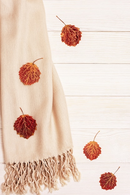 Accogliente sciarpa beige e foglie naturali di pioppo.