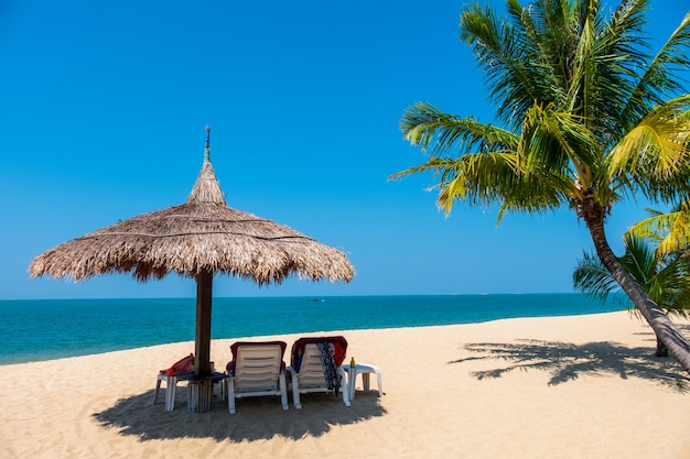 Accoppi le sedie di spiaggia e l&#39;albero del cocco sulla spiaggia tropicale con il mare ed il cielo blu