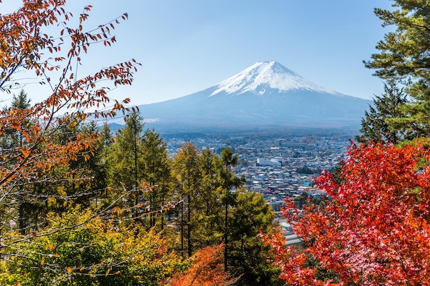 Acero e monte fuji