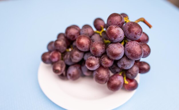 Acini d'uva blu maturi grappolo sul piatto in piedi sul tavolo