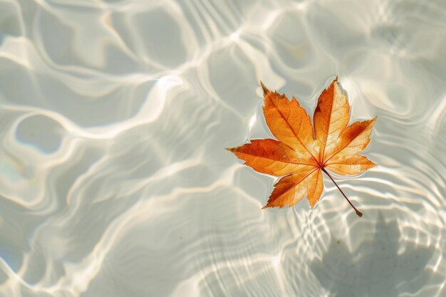 Acqua bianca pulita e una foglia di acero sullo sfondo riflessione della luce solare IA generativa