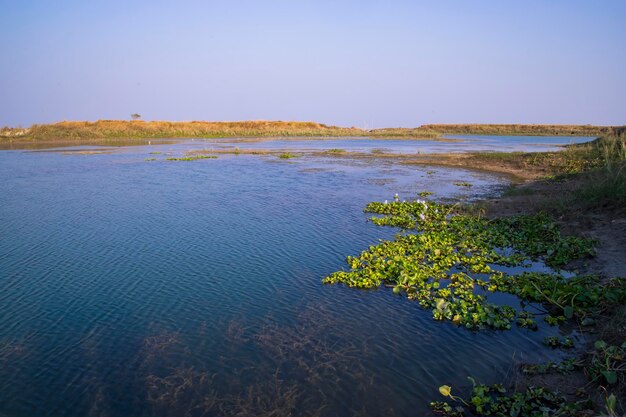 Acqua blu cristallina vista del paesaggio del lago nelle vicinanze del fiume Padma in Bangladesh