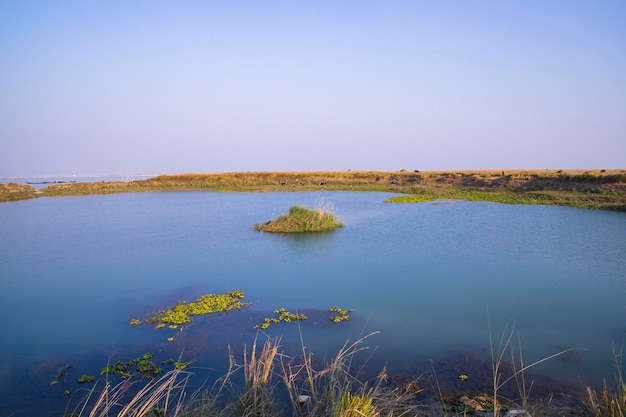 Acqua blu cristallina vista del paesaggio del lago nelle vicinanze del fiume Padma in Bangladesh