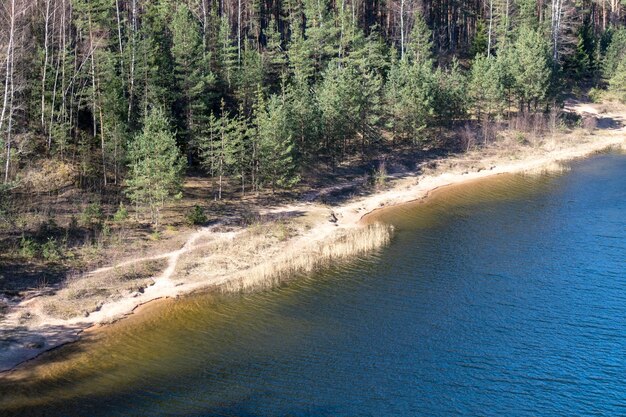 Acqua blu del lago con striscia di dune di sabbia gialla e parete di conifere verdi