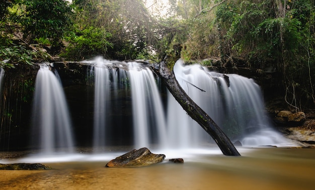 Acqua caduta nella natura