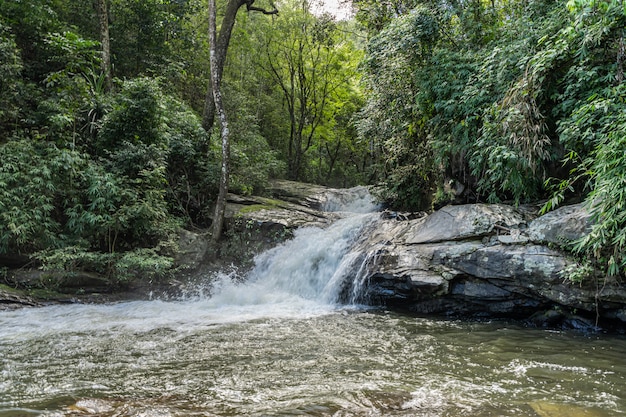 Acqua che cade da una roccia sulla riva del fiume nel mezzo della giungla