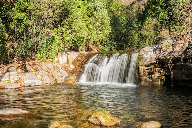 Acqua che circola sulle rocce nella cascata della cascata in una foresta